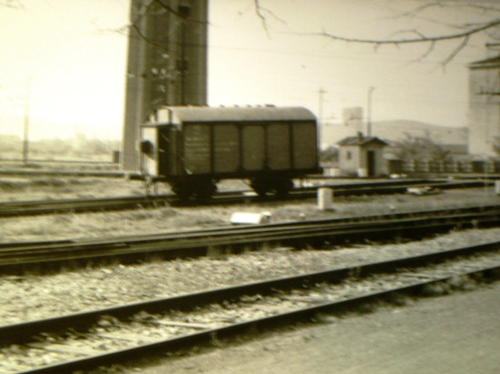 P4120029.JPG