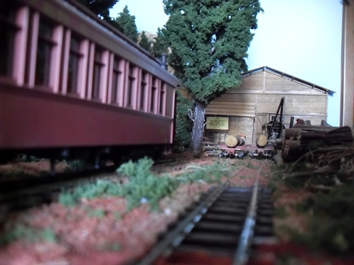 SDC12447 (Copia).JPG