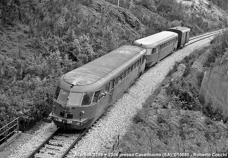 Aln556+Ldn24.jpg
