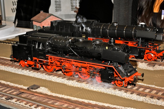 DSC_5694.jpg