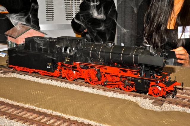 DSC_5695.jpg