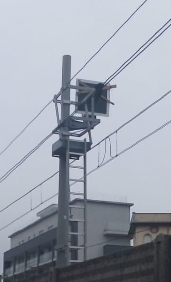 IMG-20191111.jpg