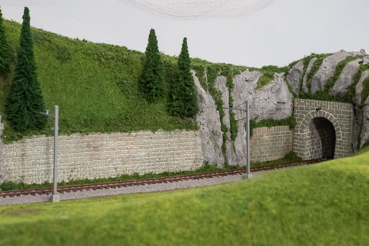 Avanzamento lavori 24-1-20 - vista osservatore-1.jpg