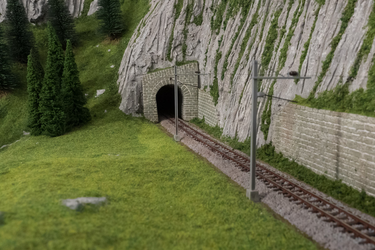 Avanzamento lavori 24-1-20 - close ups-1.jpg