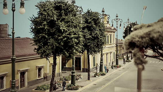 leccio 02c.jpg