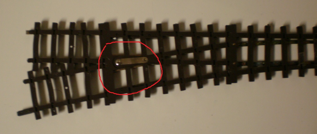 P1010003.JPG