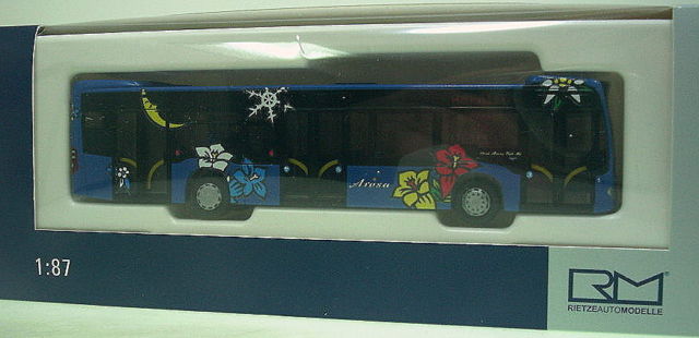 arosa bus.jpg