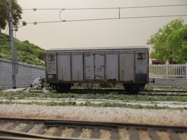 IMG_5364.JPG
