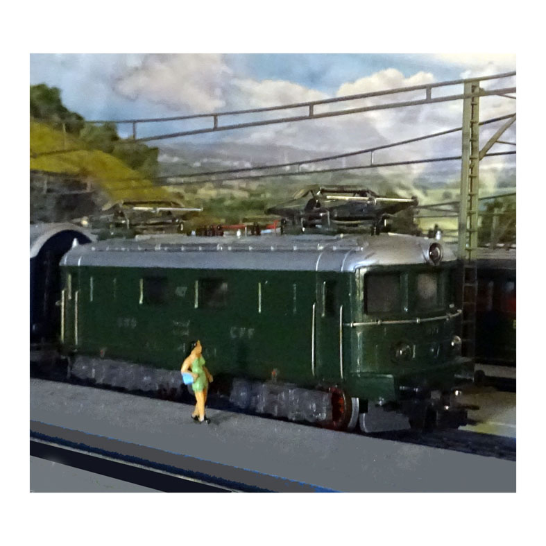 T011.JPG