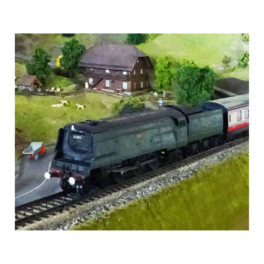 T017.JPG