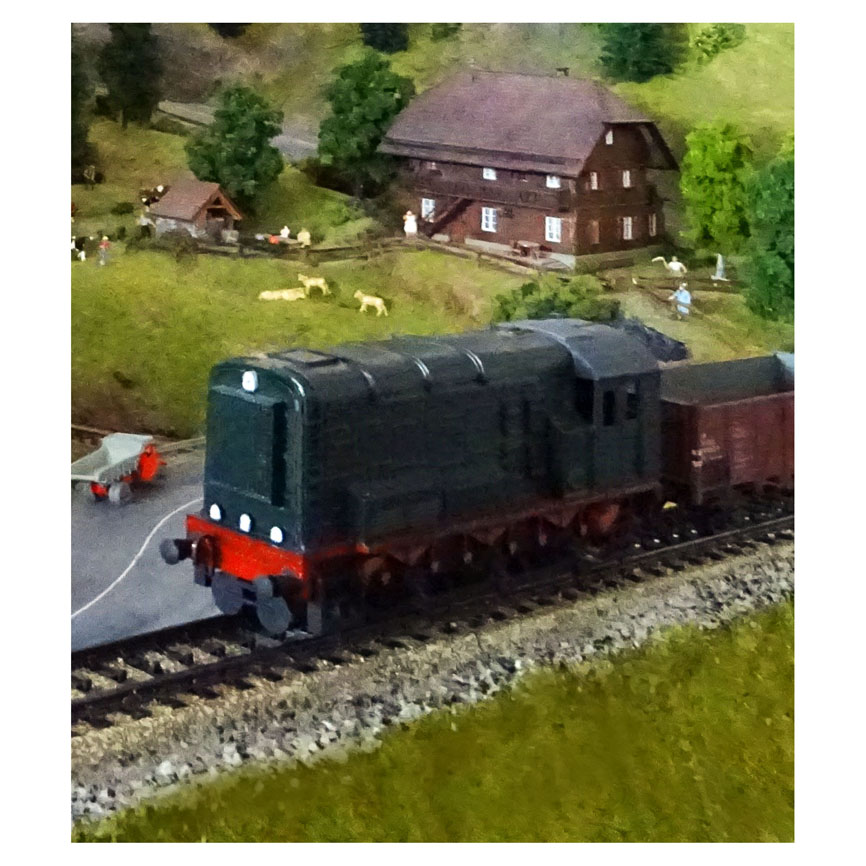 T021.JPG