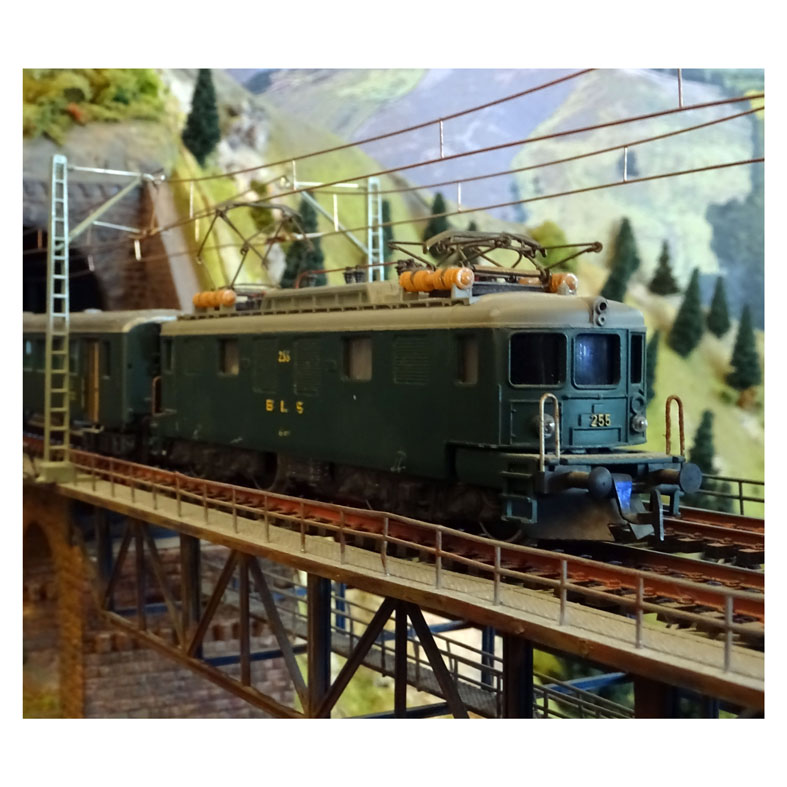 T310.JPG
