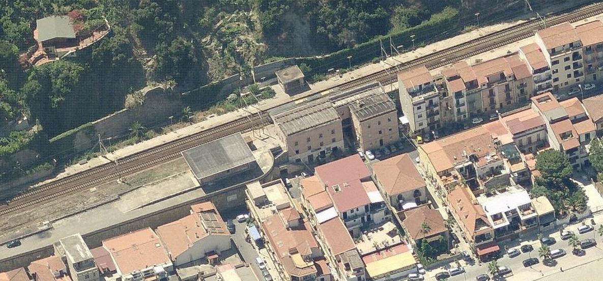 scilla.jpg