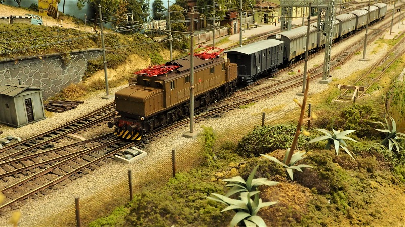 21 P4210137.jpg