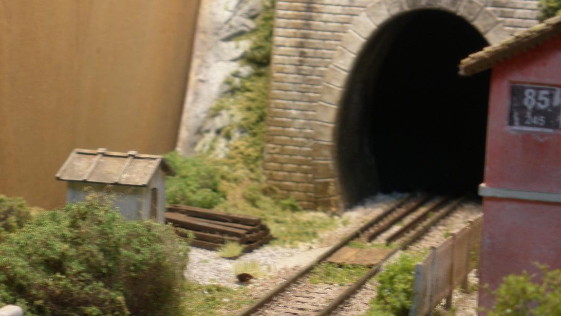 40 diorama.JPG