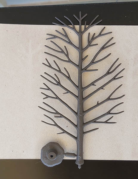 Albero 1.jpg