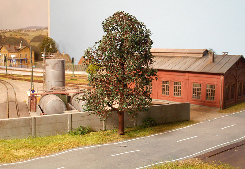 Albero 5.jpg