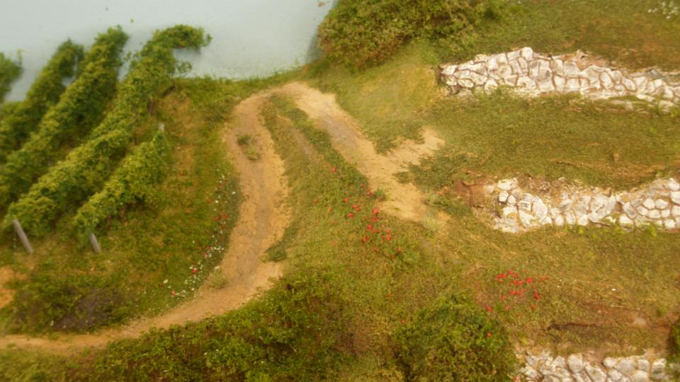 376.43 campagna.JPG