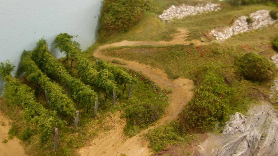 375.43 campagna.JPG