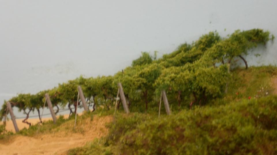374.43 campagna.JPG