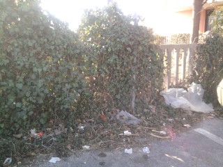Foto0123A.jpg