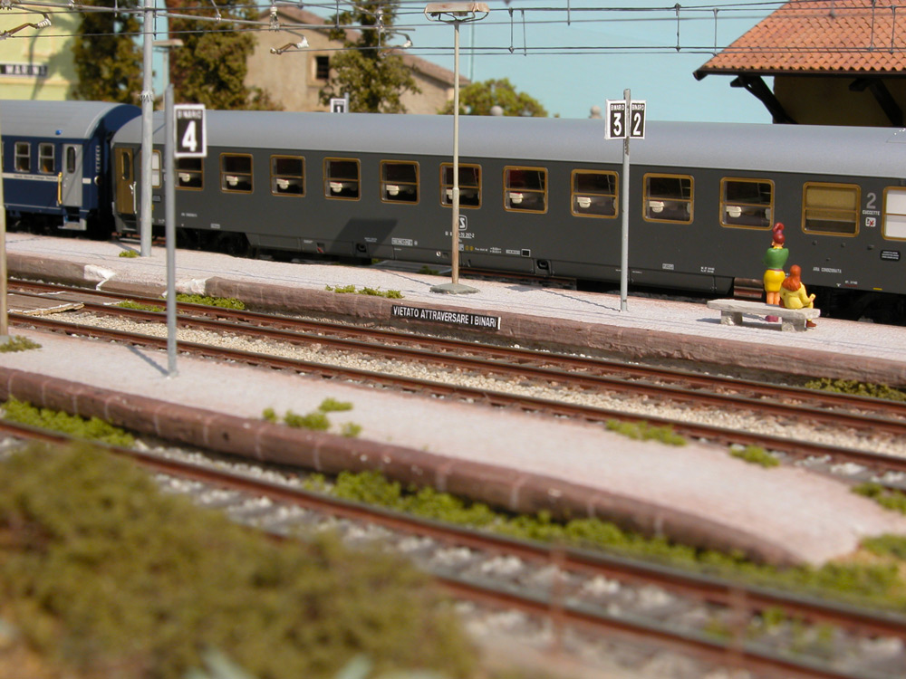 DSCN1493.JPG