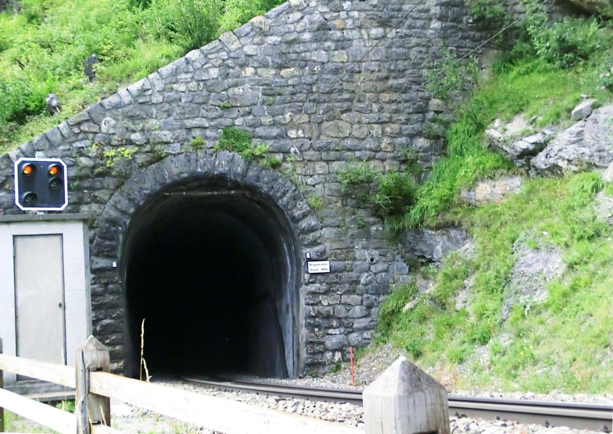 rhb-bergunersteinsp-cimg9085b.jpg