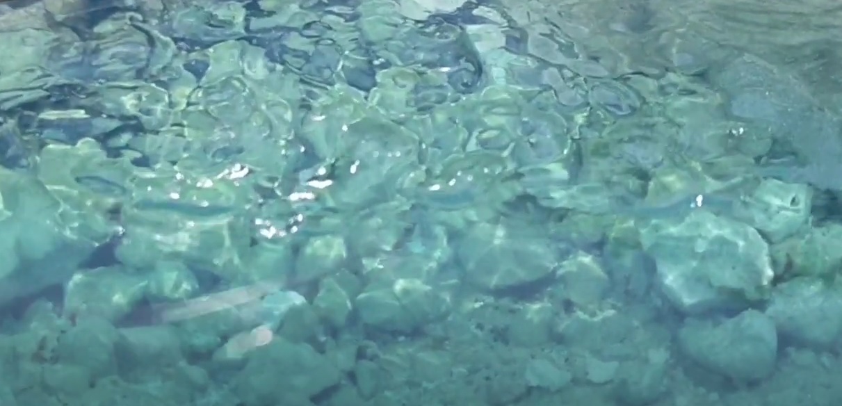 mare plastico01.jpg