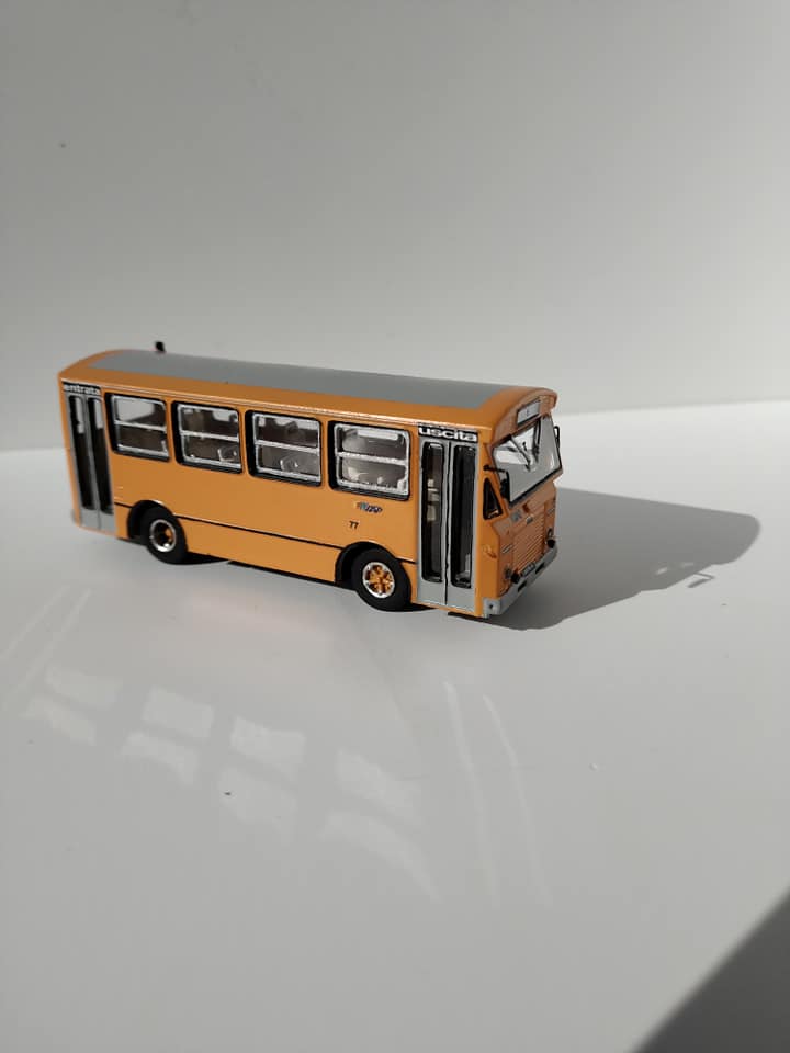 124862809_2729006180654060_8269763778948236339_n.jpg