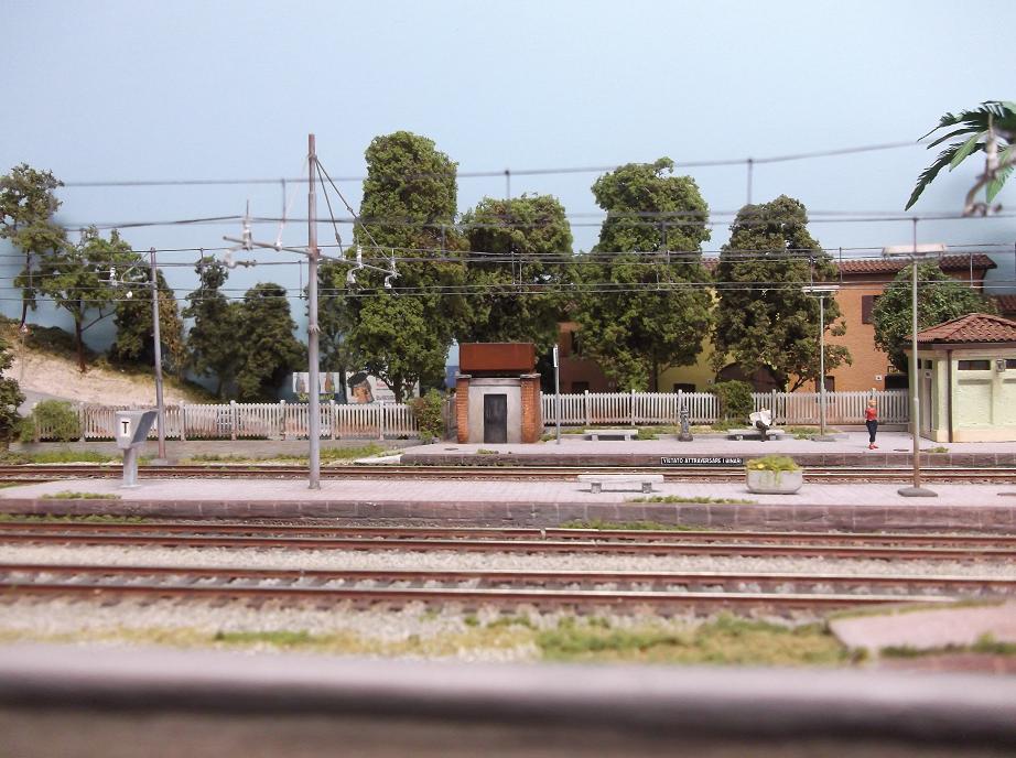 DSCF0601.JPG