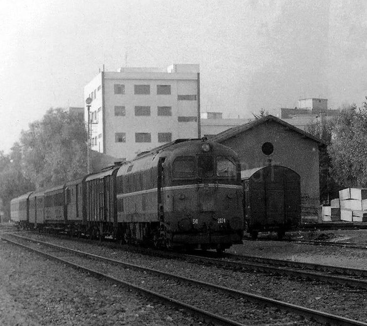 D341 2024 ROMA MONTEMARIO 1981.jpg