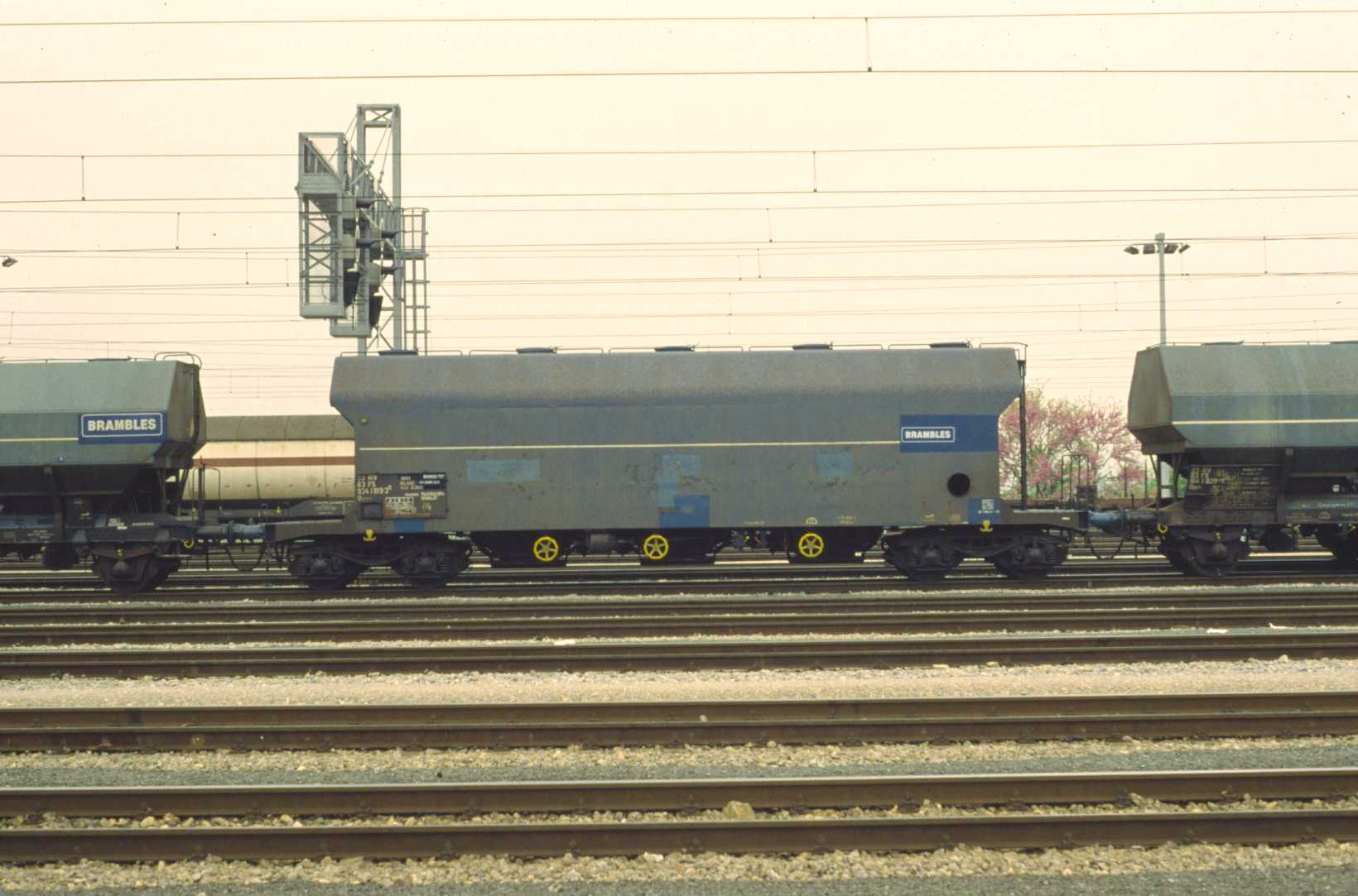 D4 1215.JPG