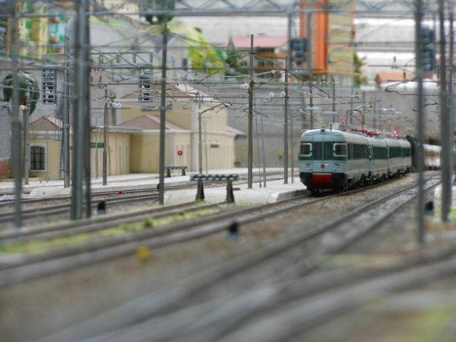 DSCN1601.JPG