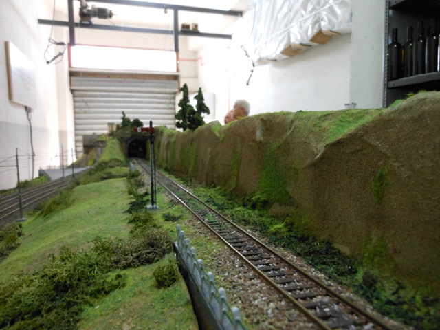 DSCN1659.jpg