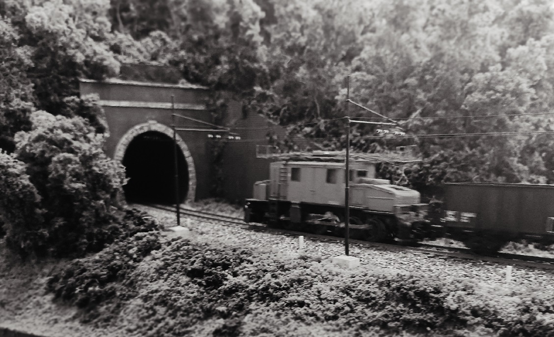 551024.jpg