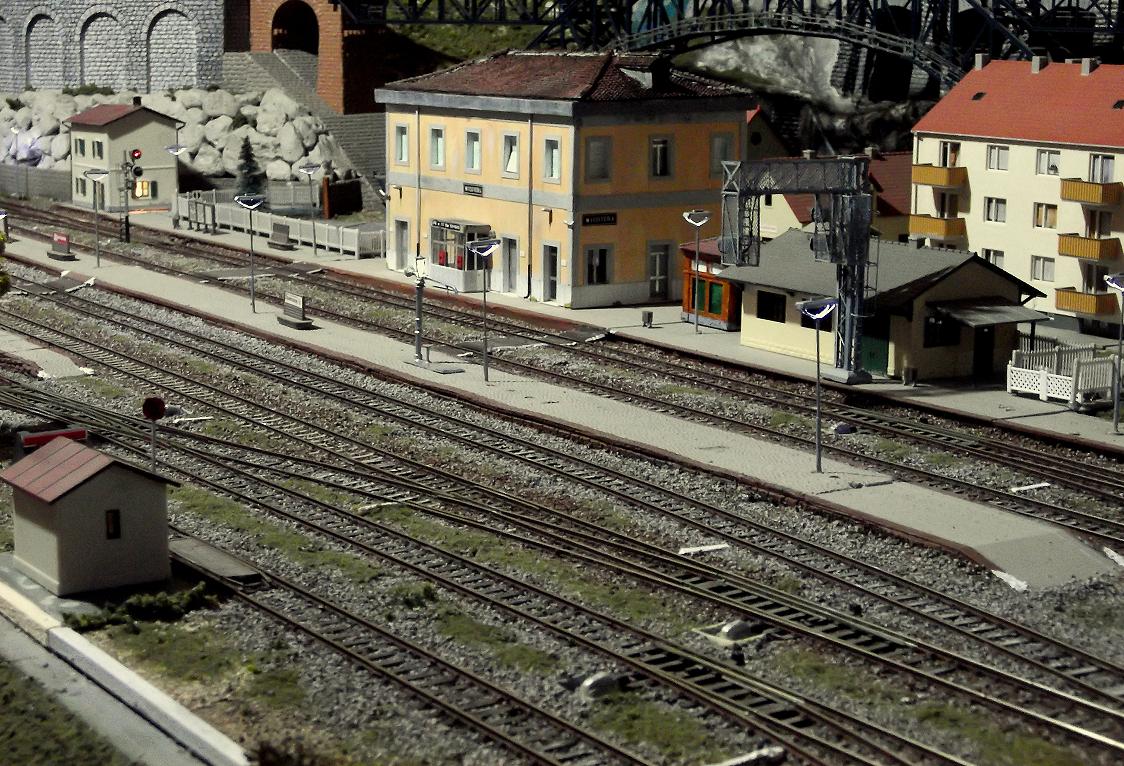 DSCF1533.JPG