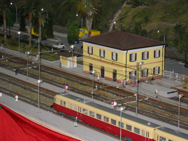 1556.jpg