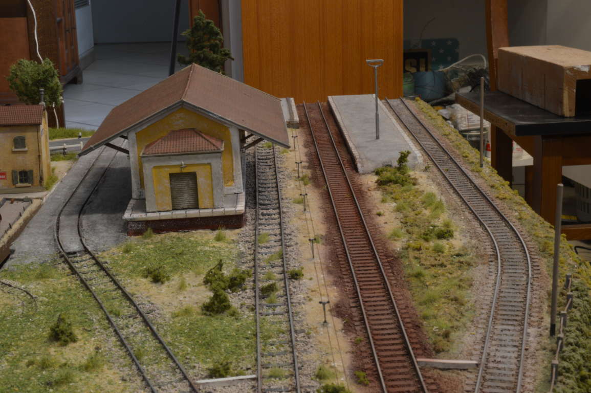 DSC_6375 (FILEminimizer).JPG