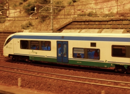 folle.JPG
