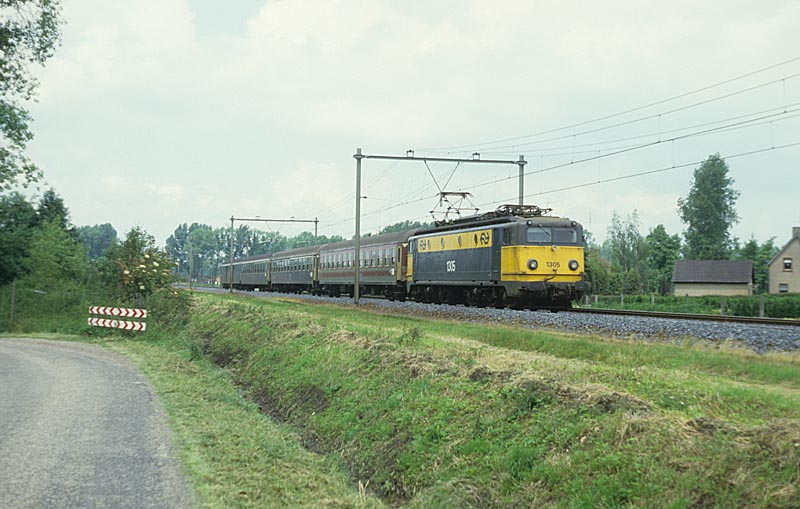 ds_NS 1305 -.jpg
