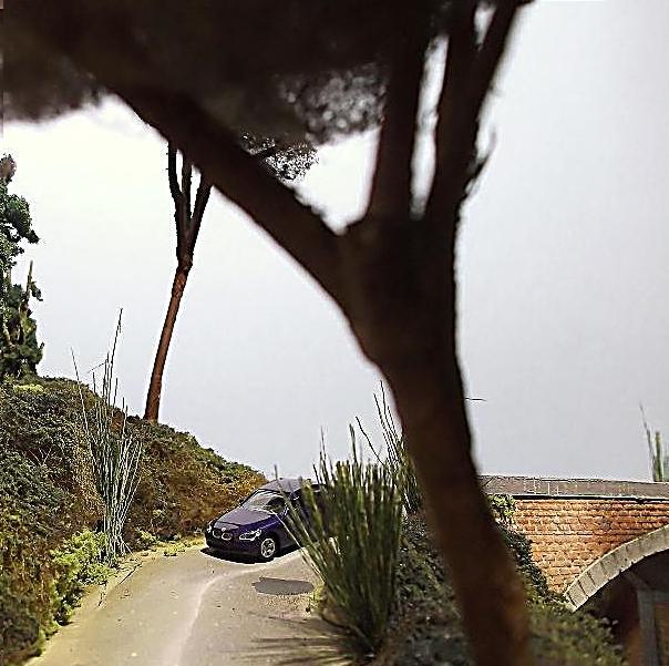 DSCF1783.JPG
