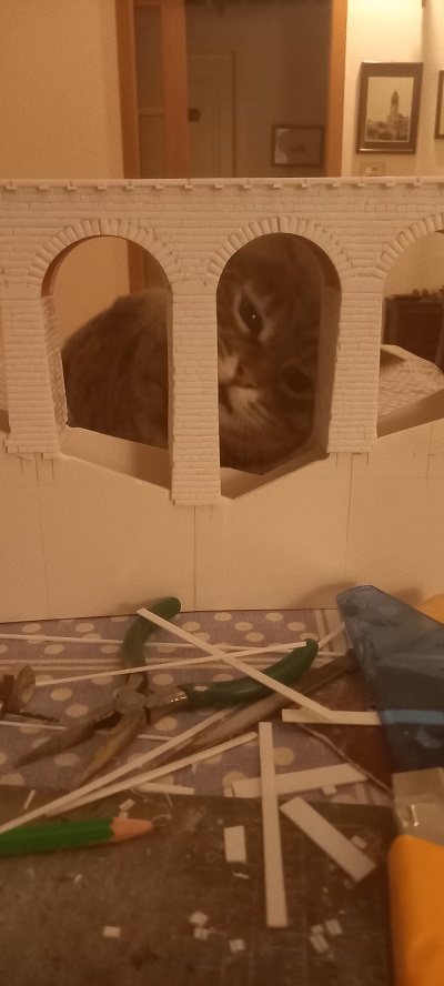 20240207_220824 - Copia.jpg