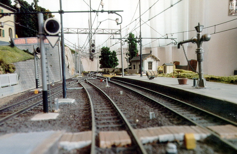 Image1.JPG
