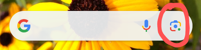 Screenshot_20241103-195649~2.png