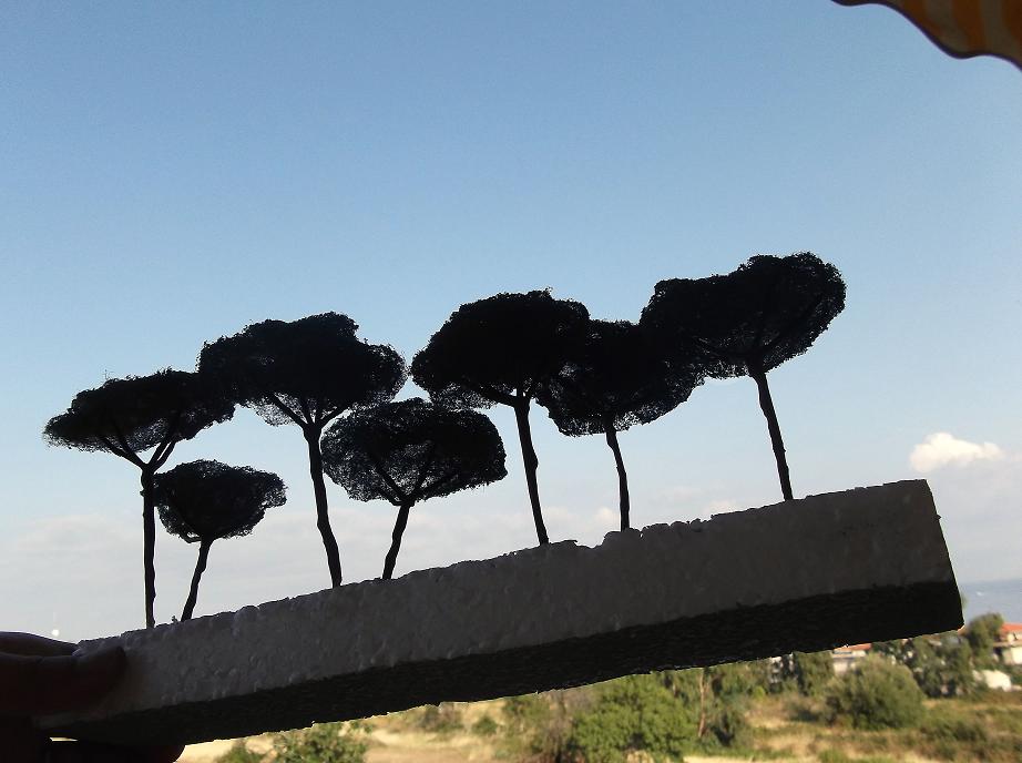 DSCF2125.JPG