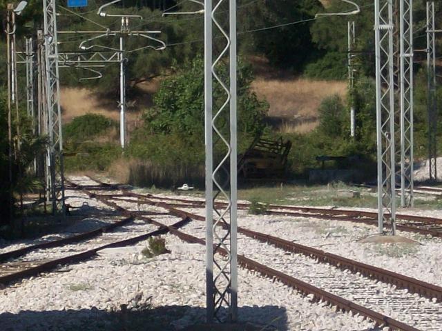 100_0751.jpg