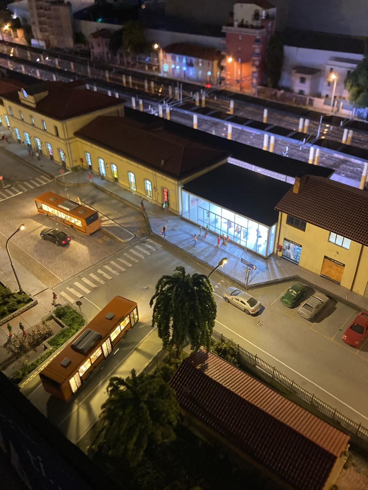Pavia_di_notte.jpg