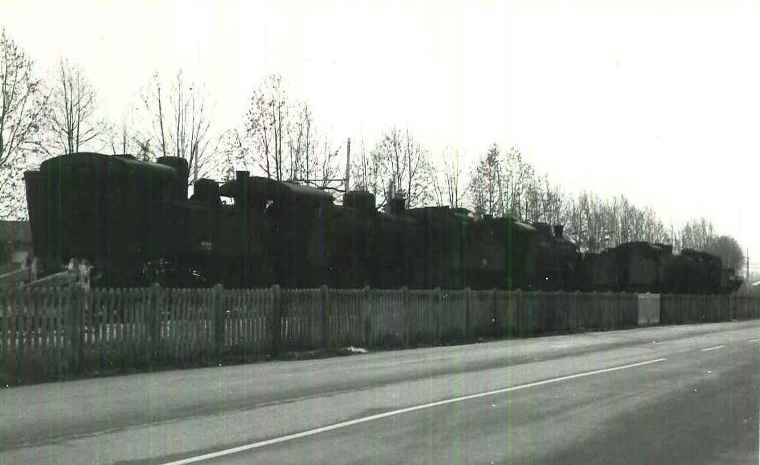 febbraio 1981.jpg