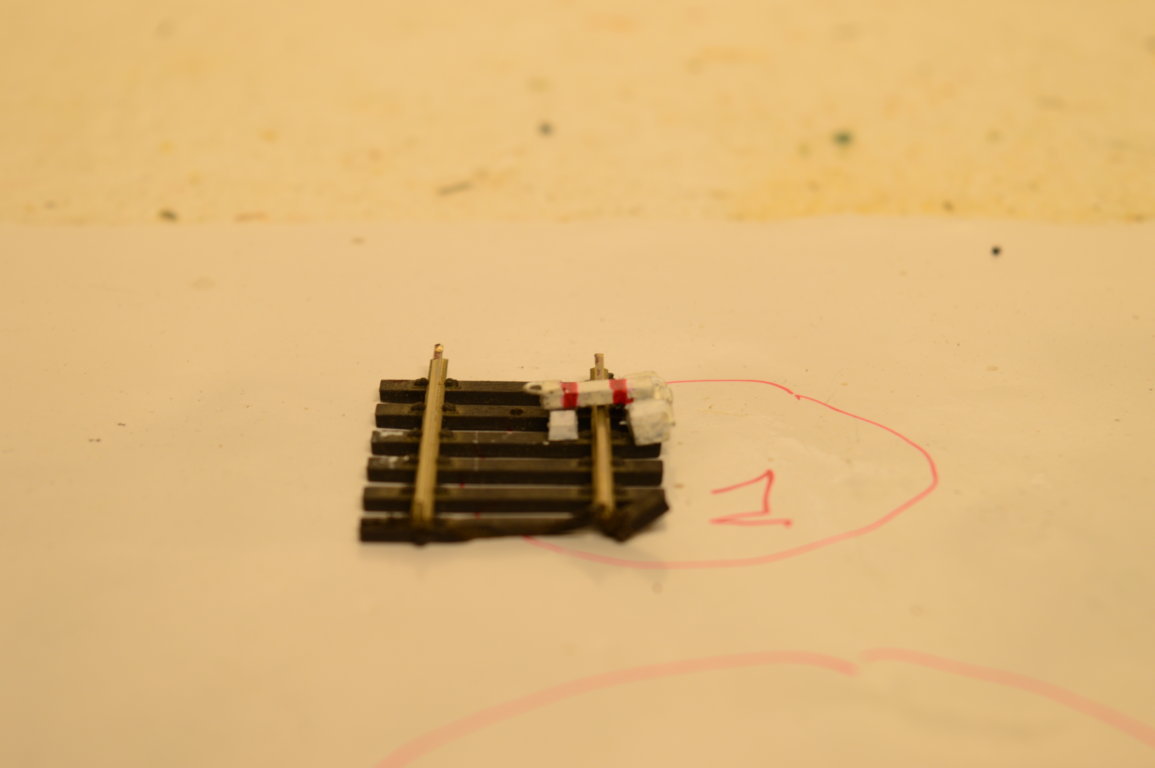 DSC_3934 (FILEminimizer).JPG