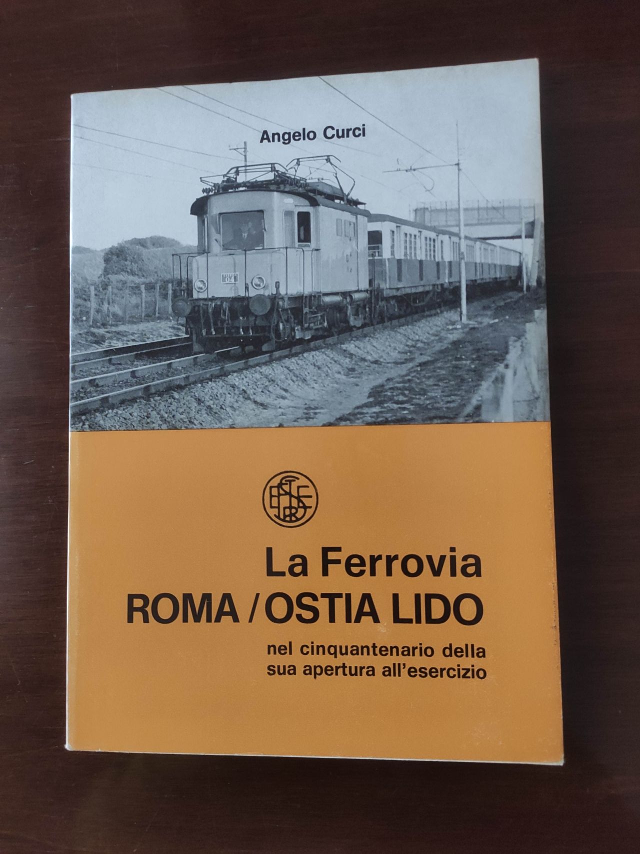 La ferrovia Roma - Ostia Lido.jpg